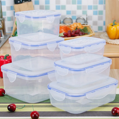 ClearView Lunch Container