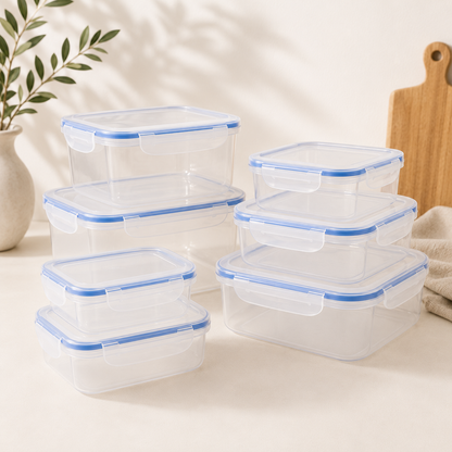 ClearView Lunch Container